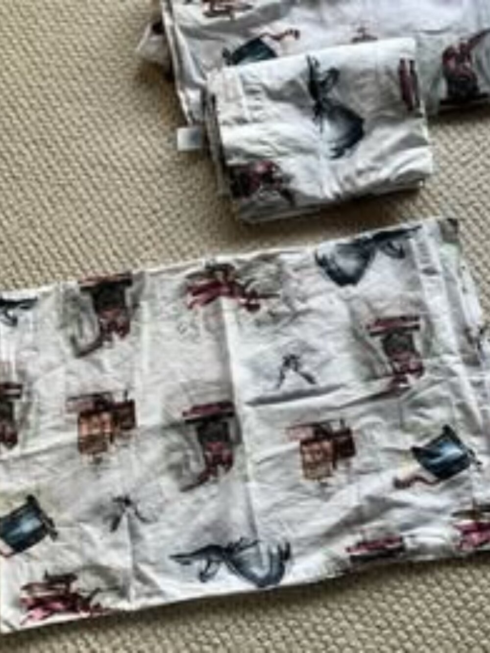 Gently used Pottery Barn Kids Harry Potter Storybook Percale Twin Size Sheet set